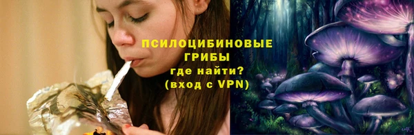 хмурый Михайловск