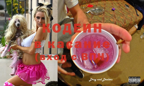 хмурый Михайловск