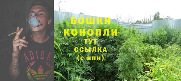 тгк Надым