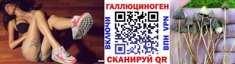 ссылка на мегу ссылка  Лысково  darknet формула  Псилоцибиновые грибы GOLDEN TEACHER 